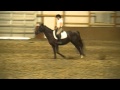 Tasmin